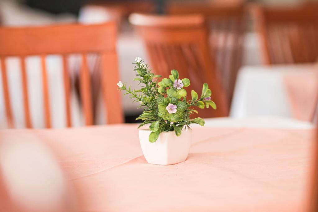Hotel Hygge Biograd Na Moru Ngoại thất bức ảnh