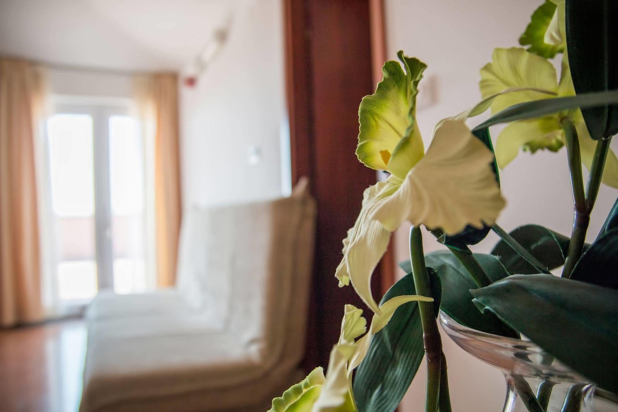 Hotel Hygge Biograd Na Moru Ngoại thất bức ảnh